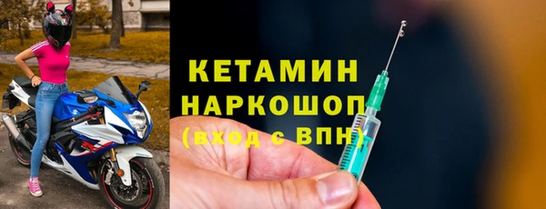 прущие грибы Дмитровск