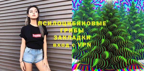 прущие грибы Дмитровск