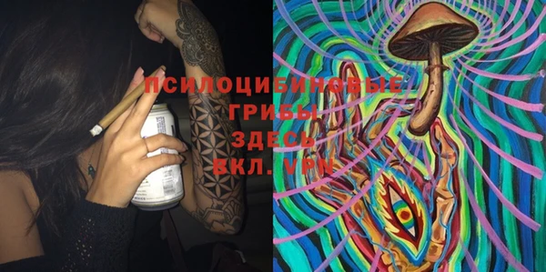 стафф Дмитров