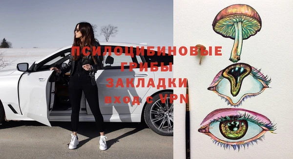 прущие грибы Дмитровск