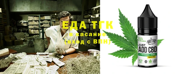 прущие грибы Дмитровск