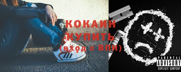 стафф Дмитров