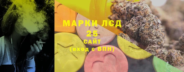 прущие грибы Дмитровск