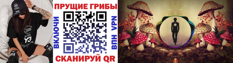 Псилоцибиновые грибы мицелий  Купить где  Андреаполь 